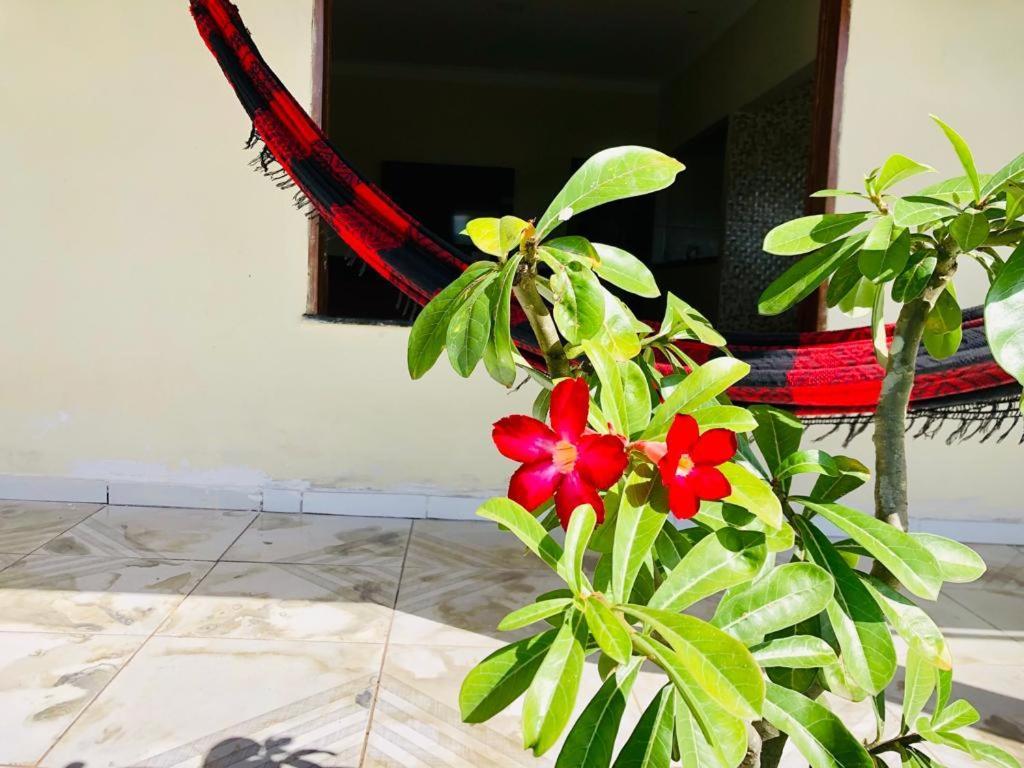 דירות Casa Em Barreirinhas 01 מראה חיצוני תמונה